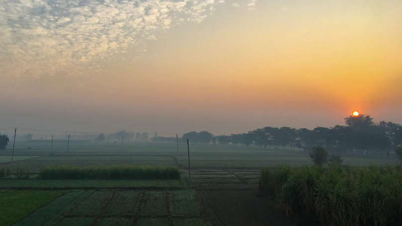 Punjab - Bundala and Simbal Mazara