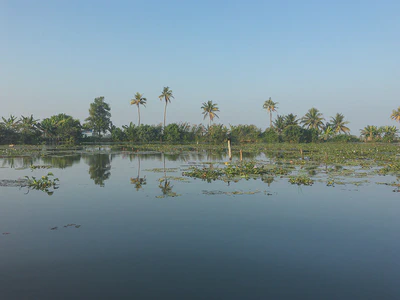 Kerala backwaters