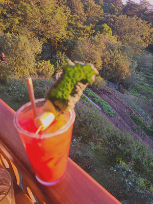 Coctails at Hotel Belmar with stuff from the garden below