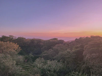 a photo of sunset over trees