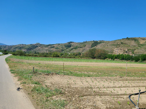 The famous "cotes de Rhône"