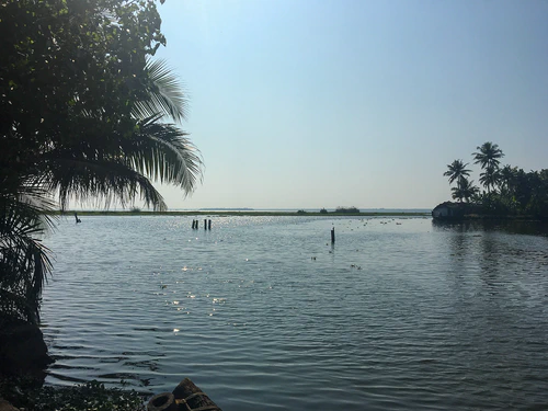 kumarakom_01.jpg