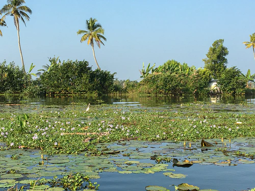 kumarakom_02.jpg