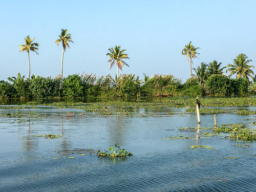 kumarakom_03.jpg