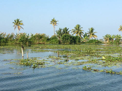 kumarakom_04.jpg