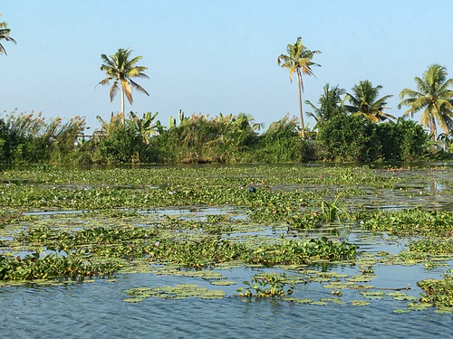 kumarakom_05.jpg