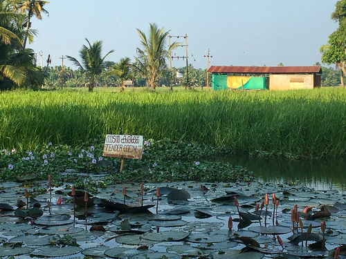 kumarakom_06.jpg