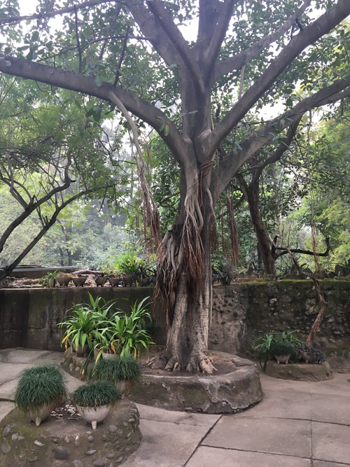 Chandigarh-Rock-Garden-06-of-38.jpg