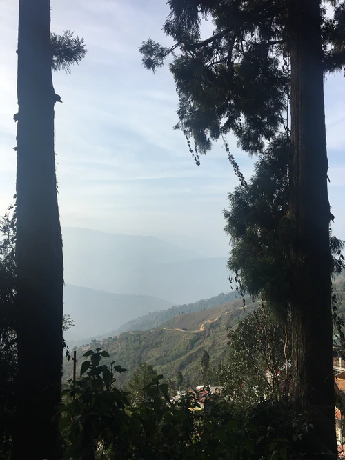 Darjeeling-16-of-67.jpg