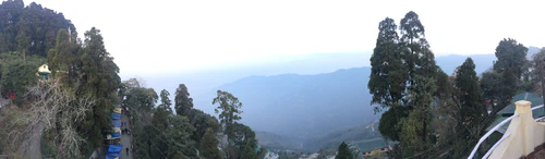 Darjeeling-22-of-67.jpg